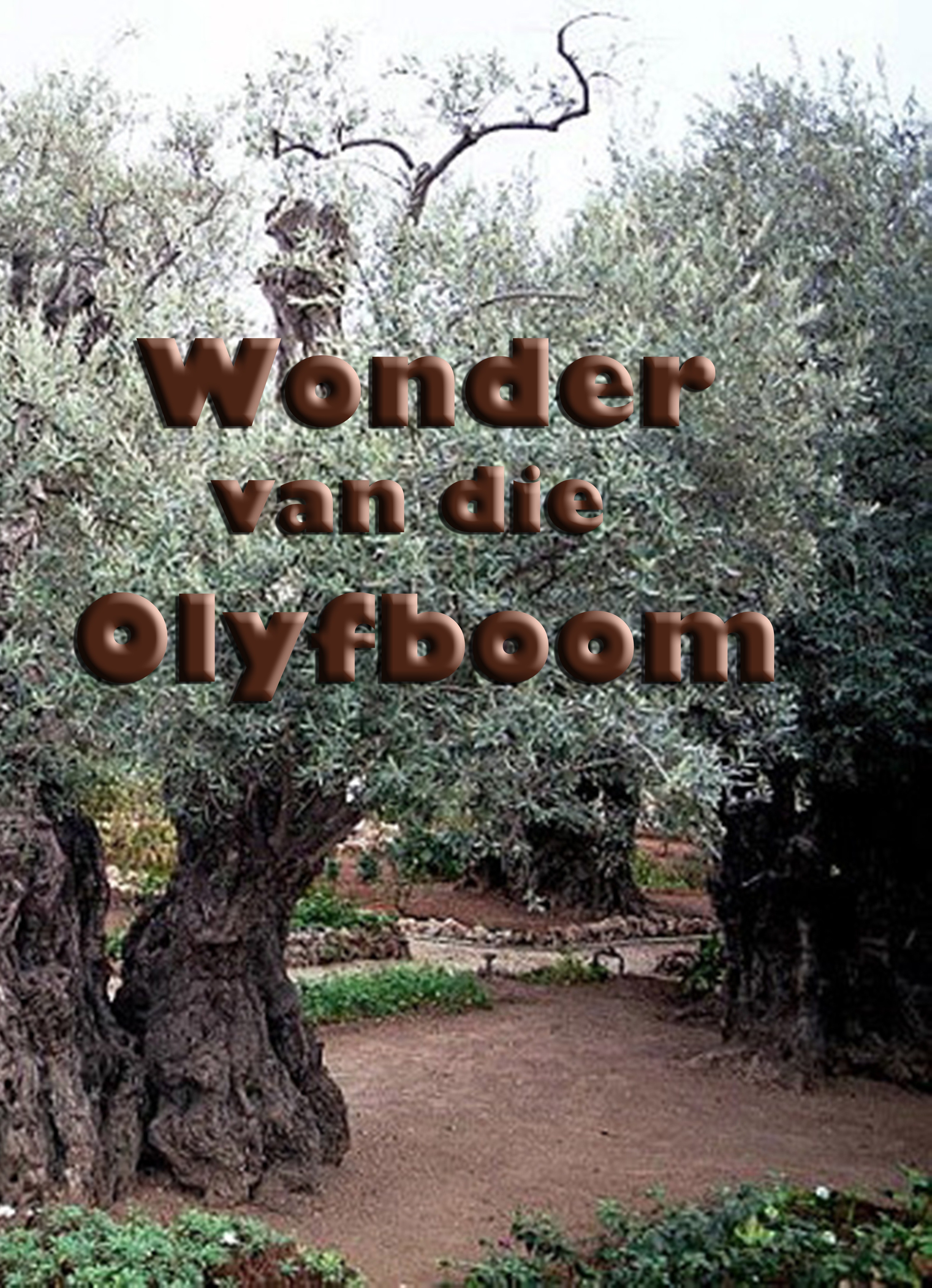 Olyfboom Icon